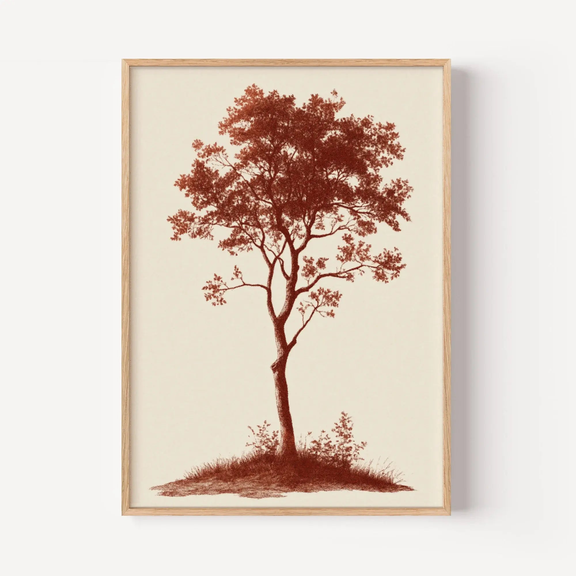 Ancient Birch Study
