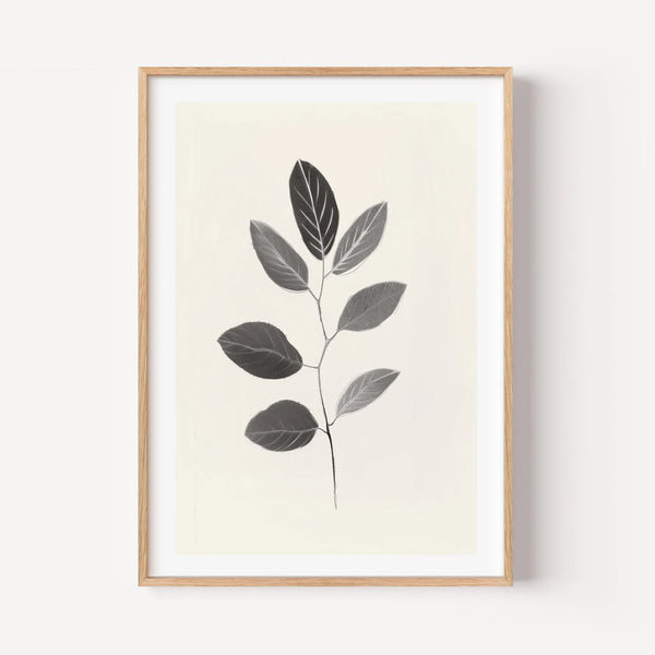 Botanical Lines and Gray Shadows
