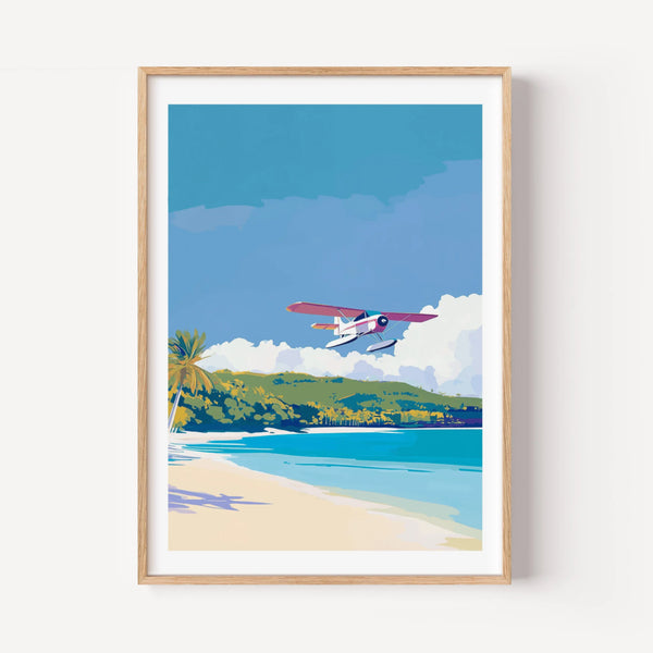 Caribbean Island Flight