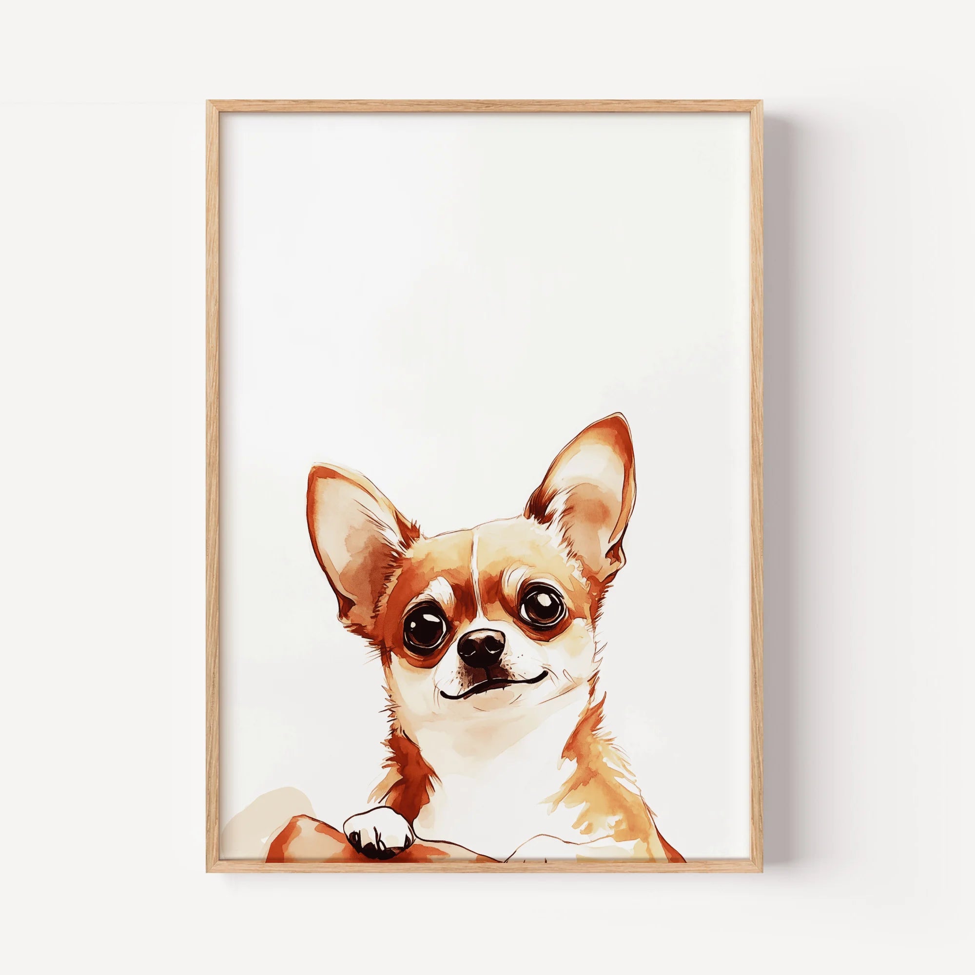Curious Chihuahua Gaze