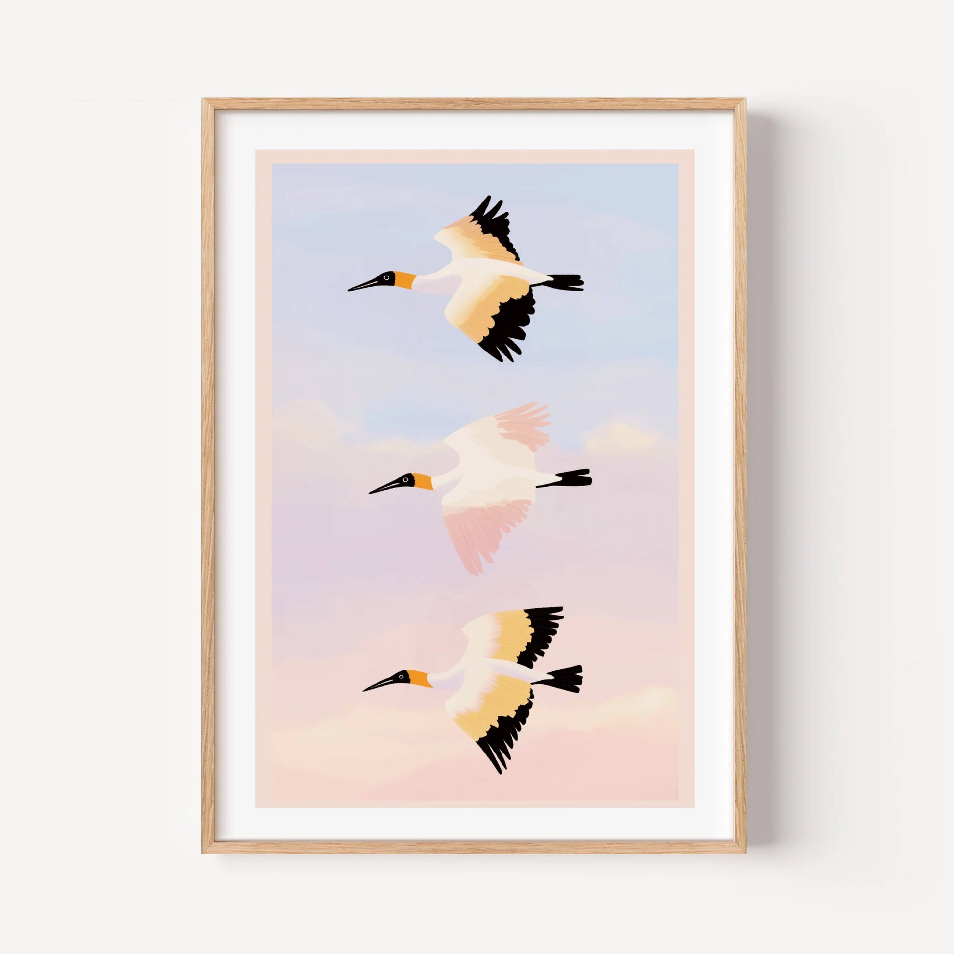 Ibis Cloud Flight