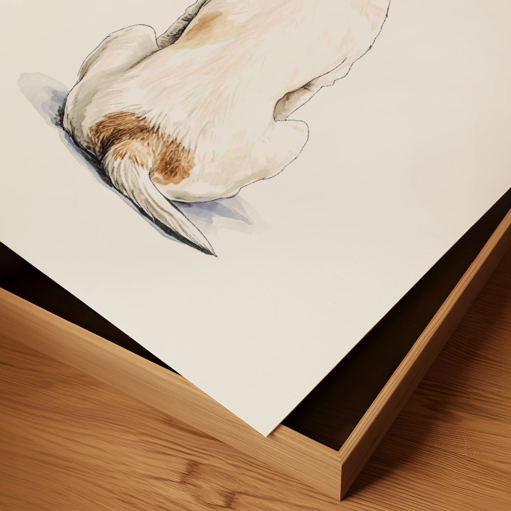 Jack Russell Zen
