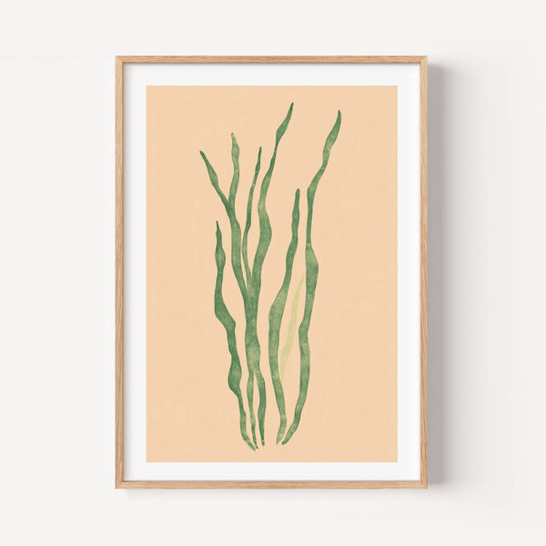 Marine Flora
