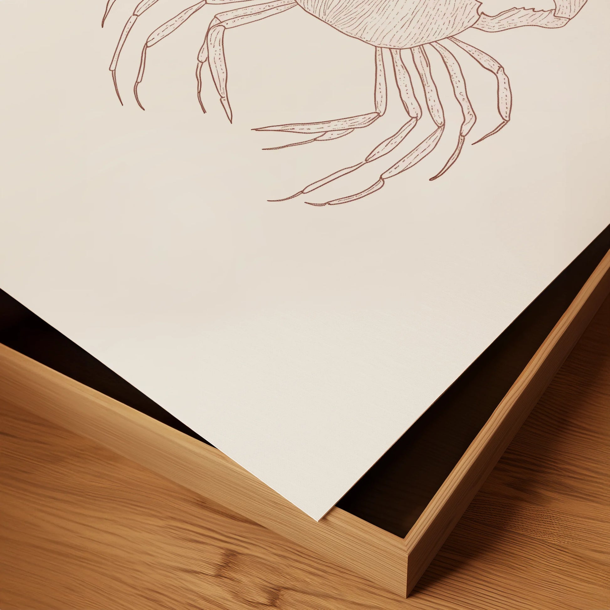 Minimalist Crimson Crab Study