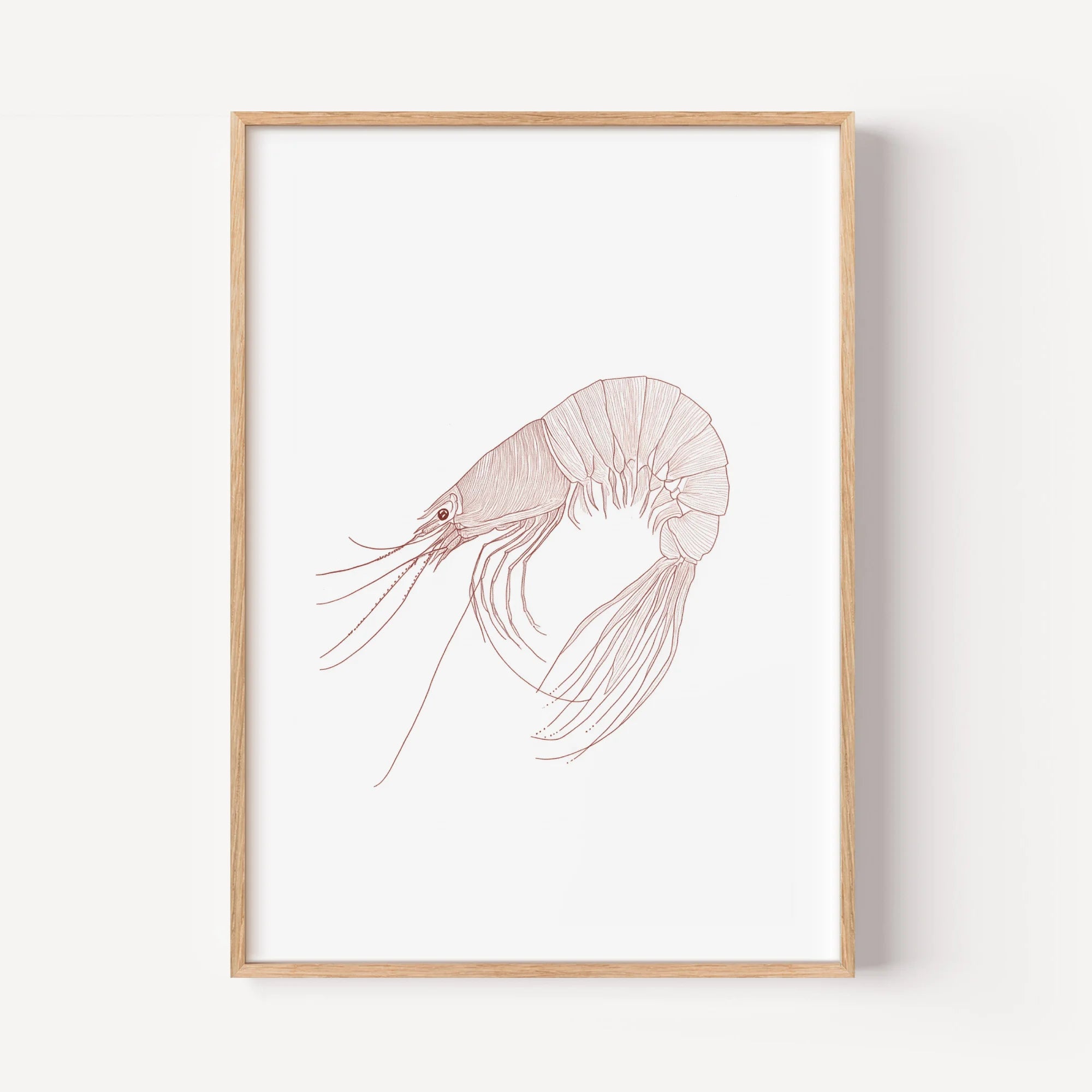 Minimalist Crimson Shrimp Study