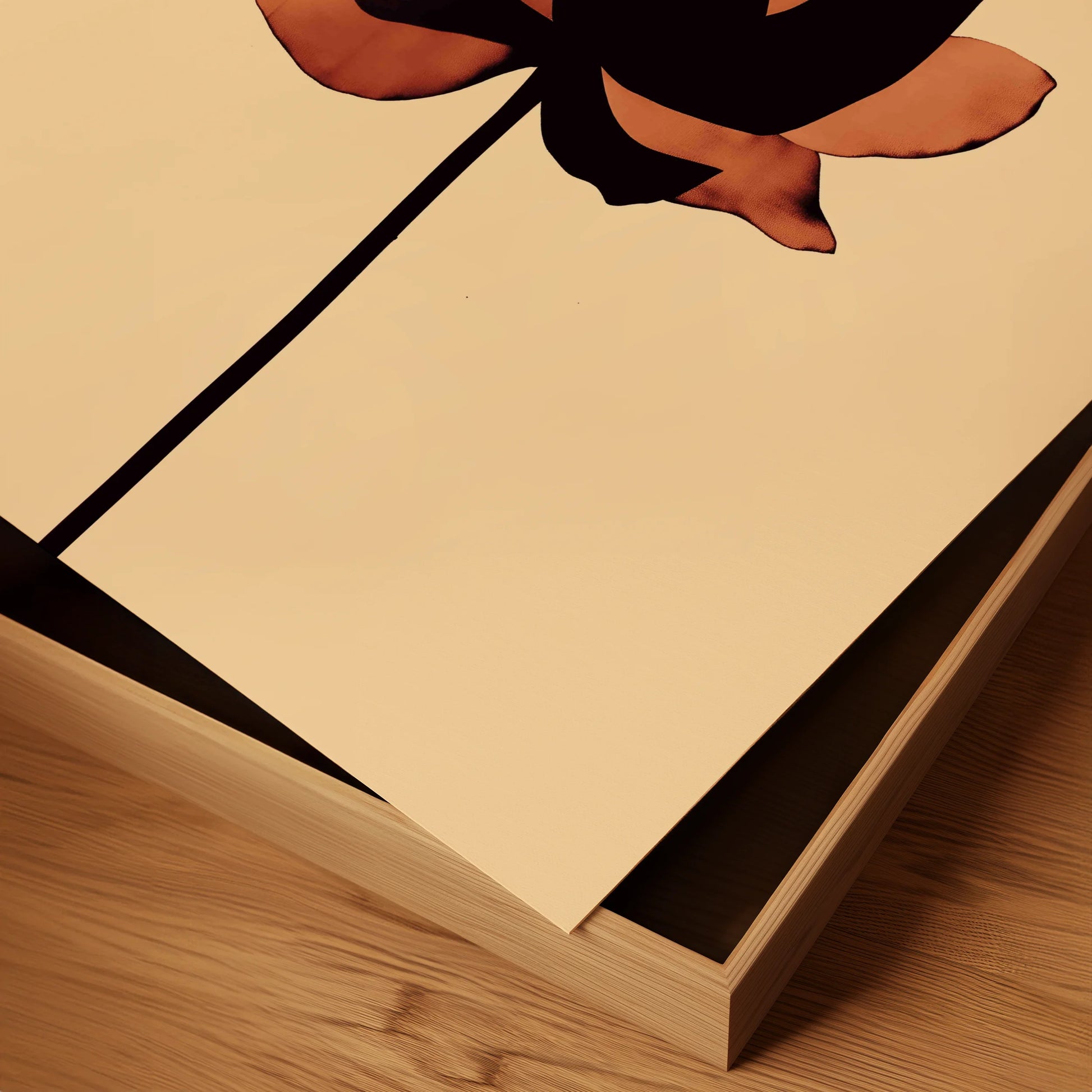 Shadowed Petals in Bloom
