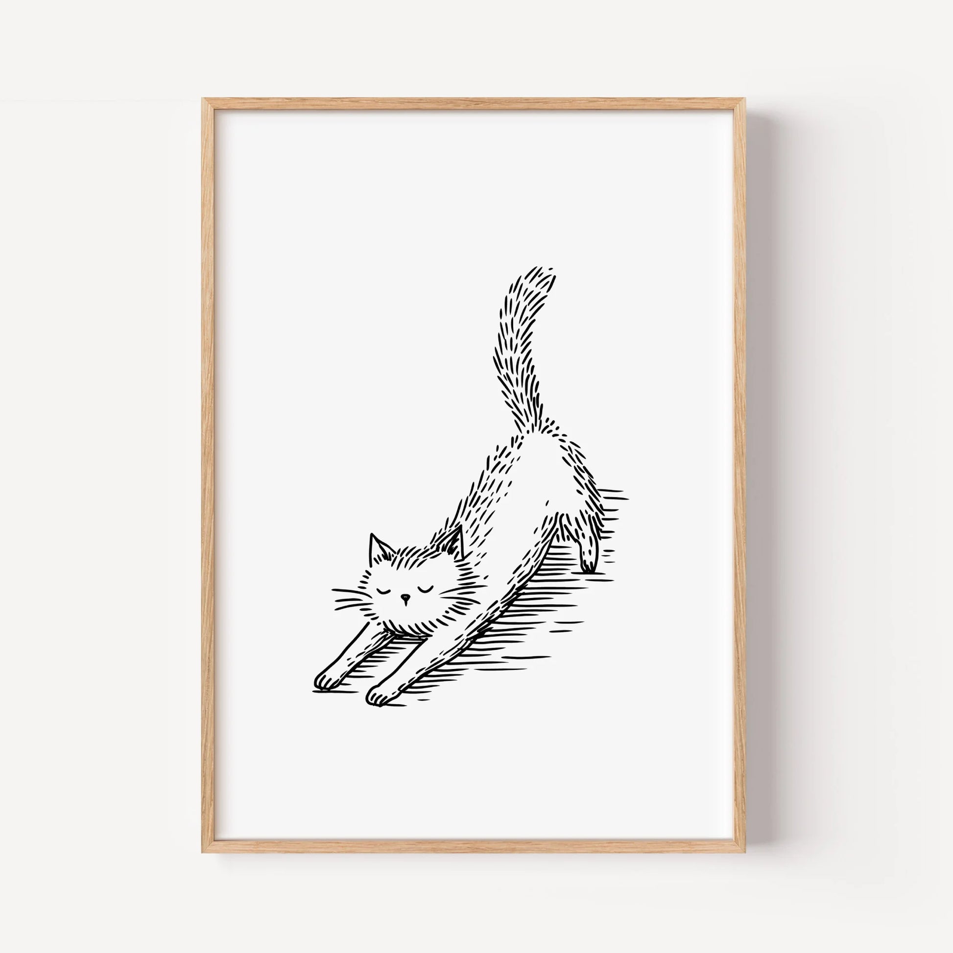 The Cat's Morning Stretch