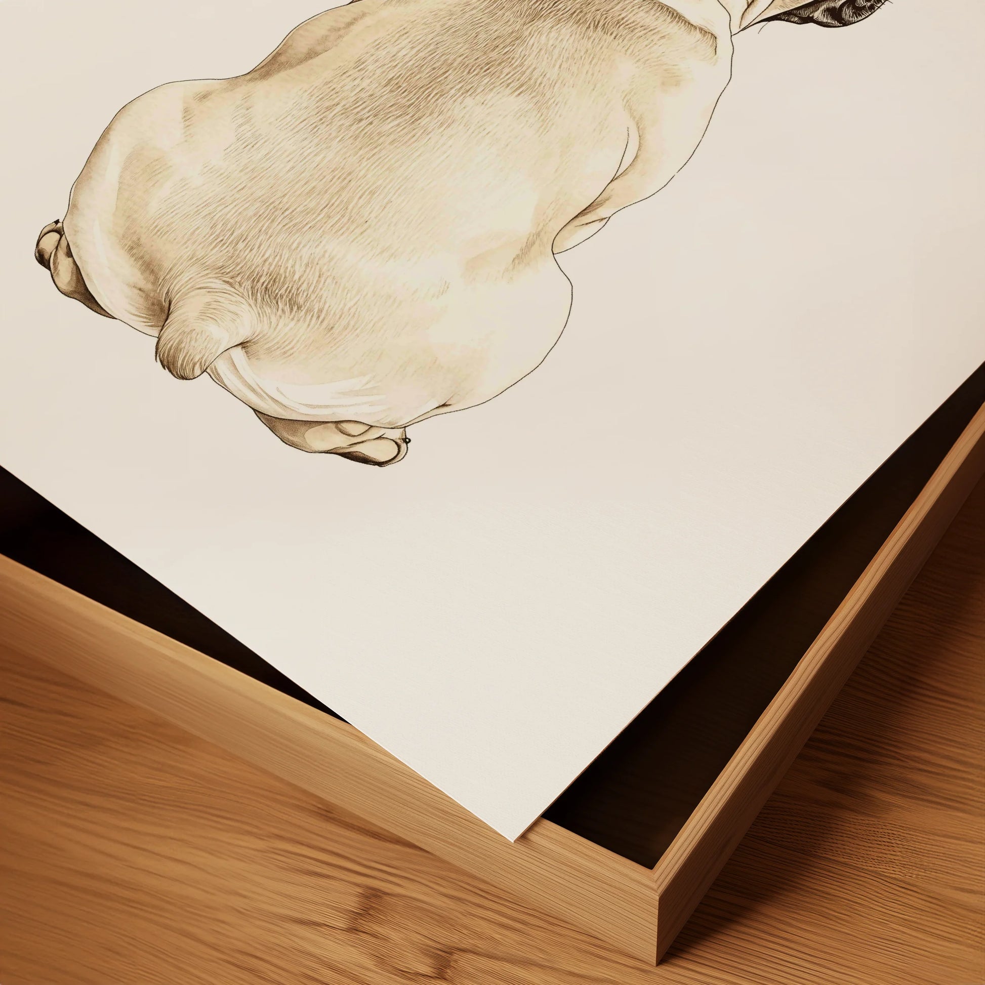 Watercolor French Bulldog Silhouette