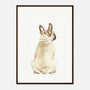 d62d0136-7f12-42f2-af3d-f1ae616125fb